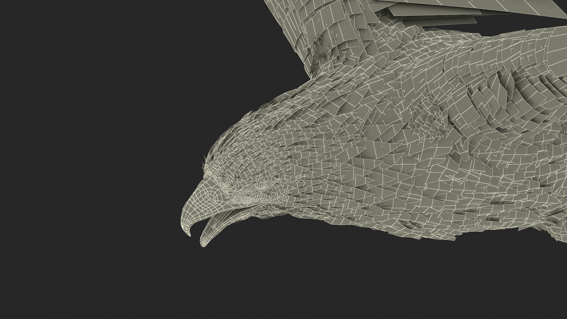 3D model Bald Eagle in Flight