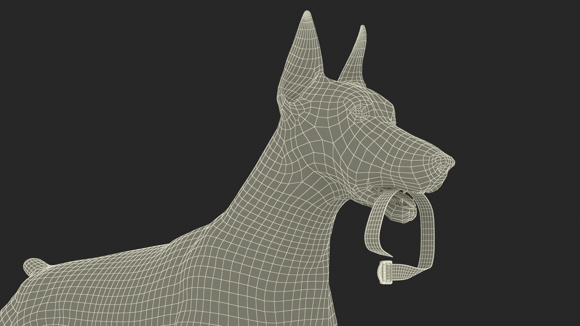 Walking Collar Doberman Pinscher 3D