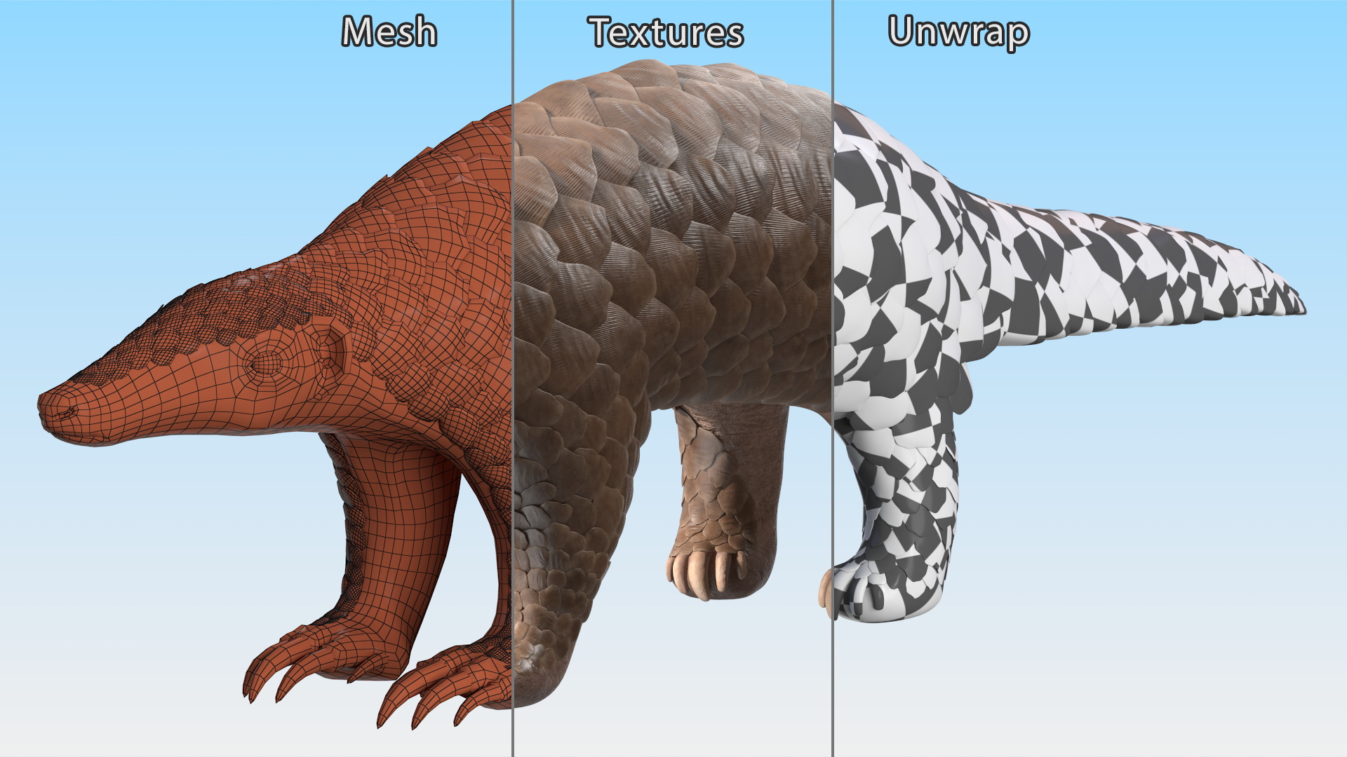 3D model Pangolin