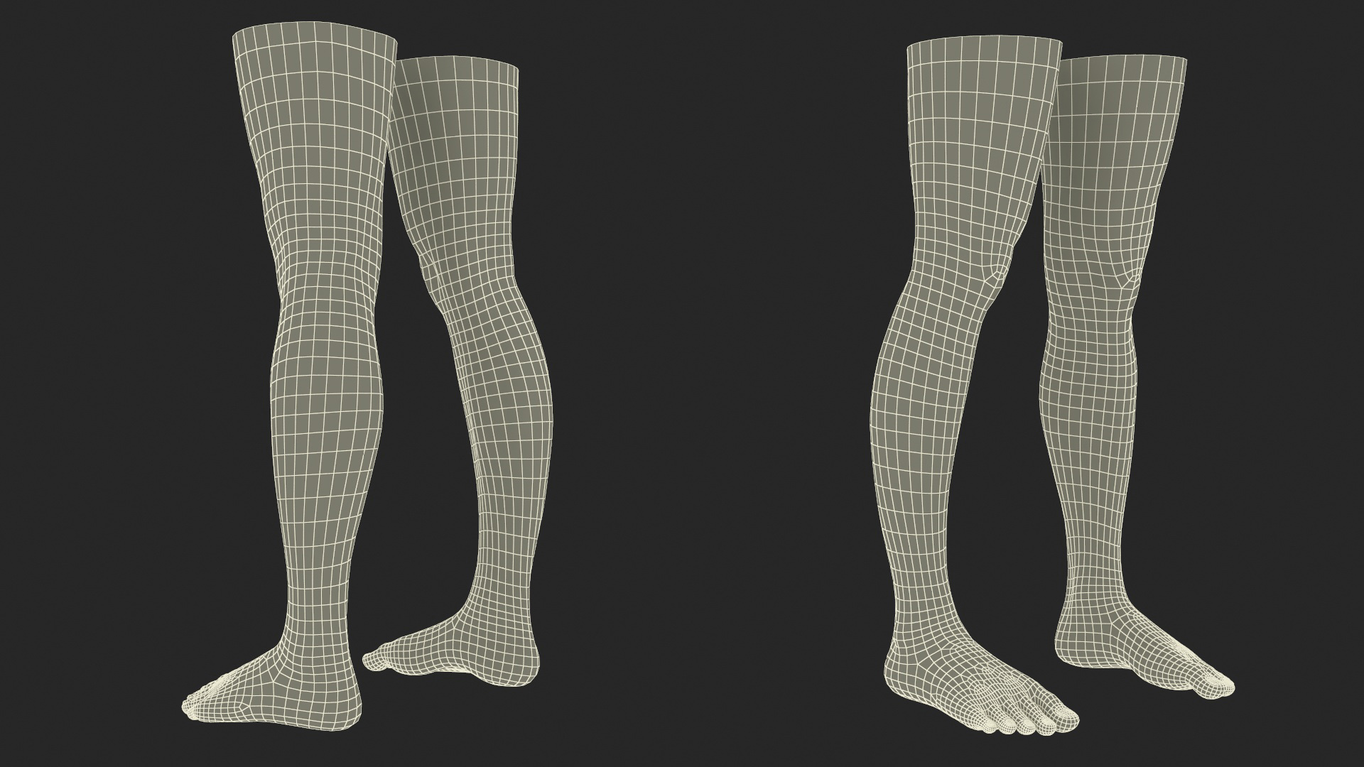 3D Female Legs