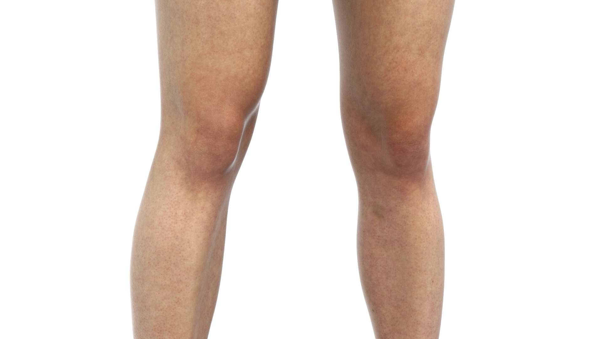 3D Female Legs