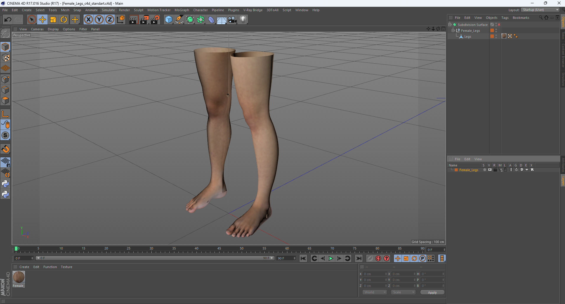 3D Female Legs