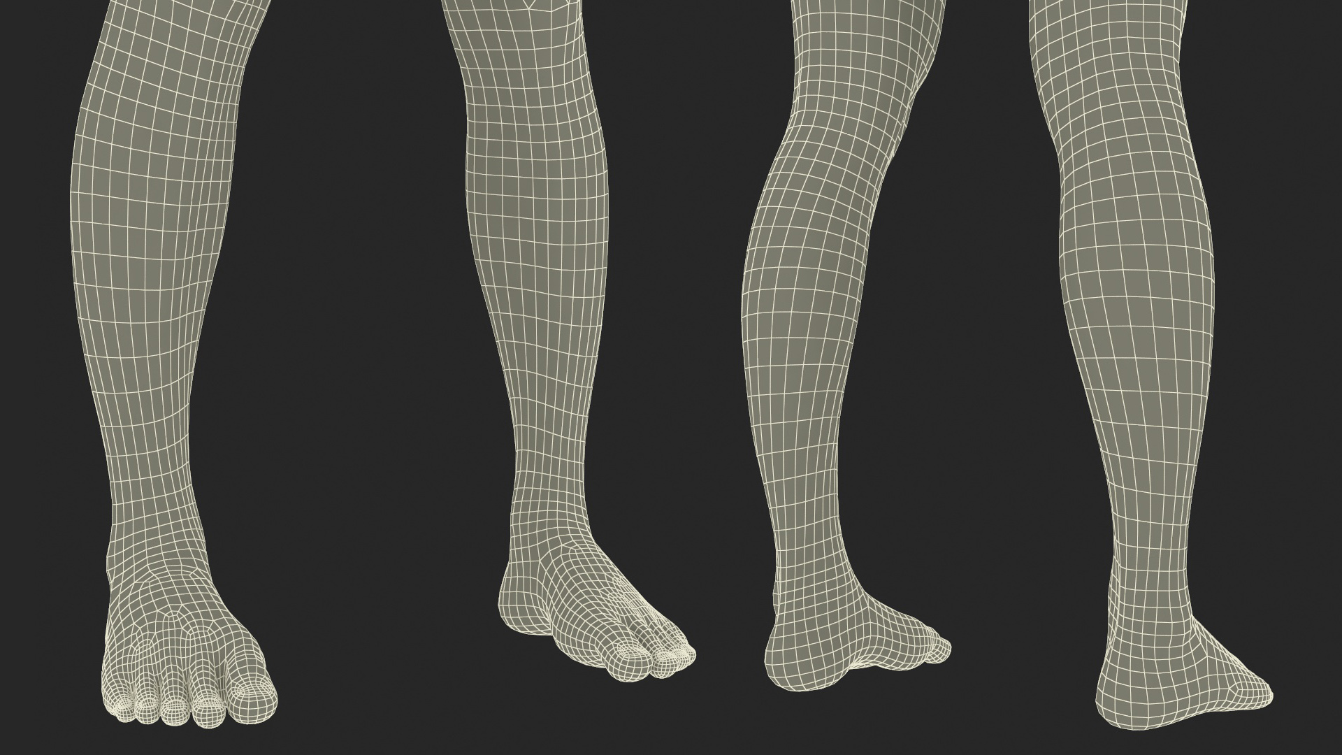 3D Female Legs