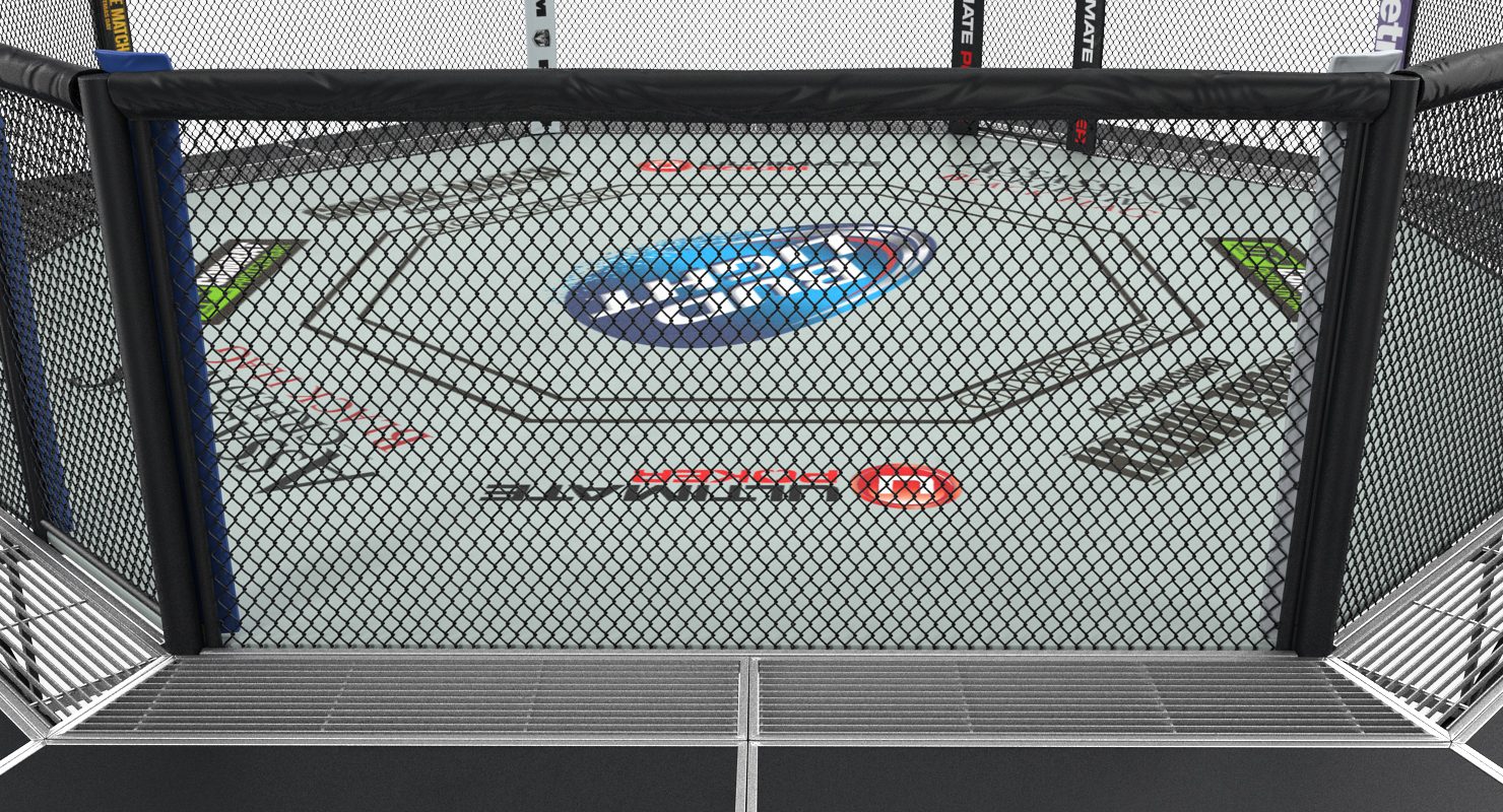 3D UFC Fighting Arena model