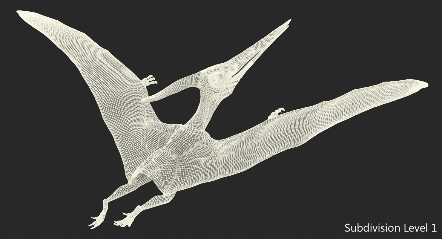 Pterosaur Pteranodon White Flying Pose with Fur 3D