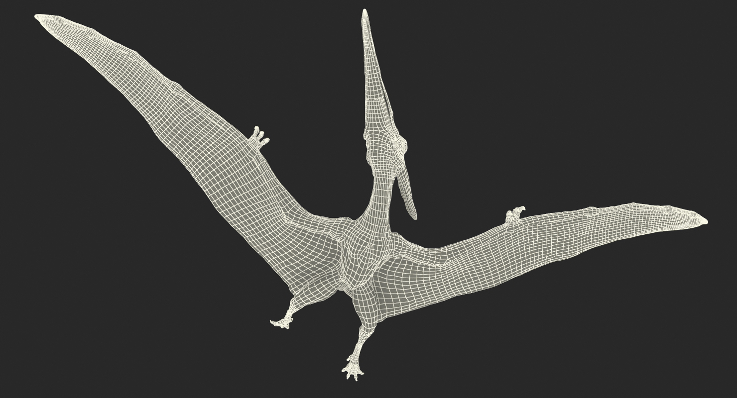 Pterosaur Pteranodon White Flying Pose with Fur 3D