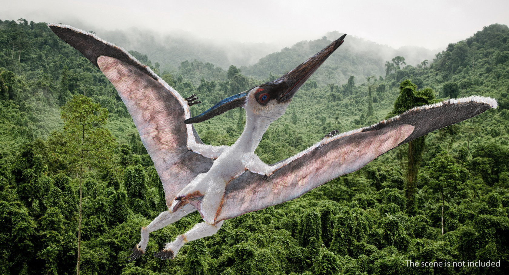 Pterosaur Pteranodon White Flying Pose with Fur 3D