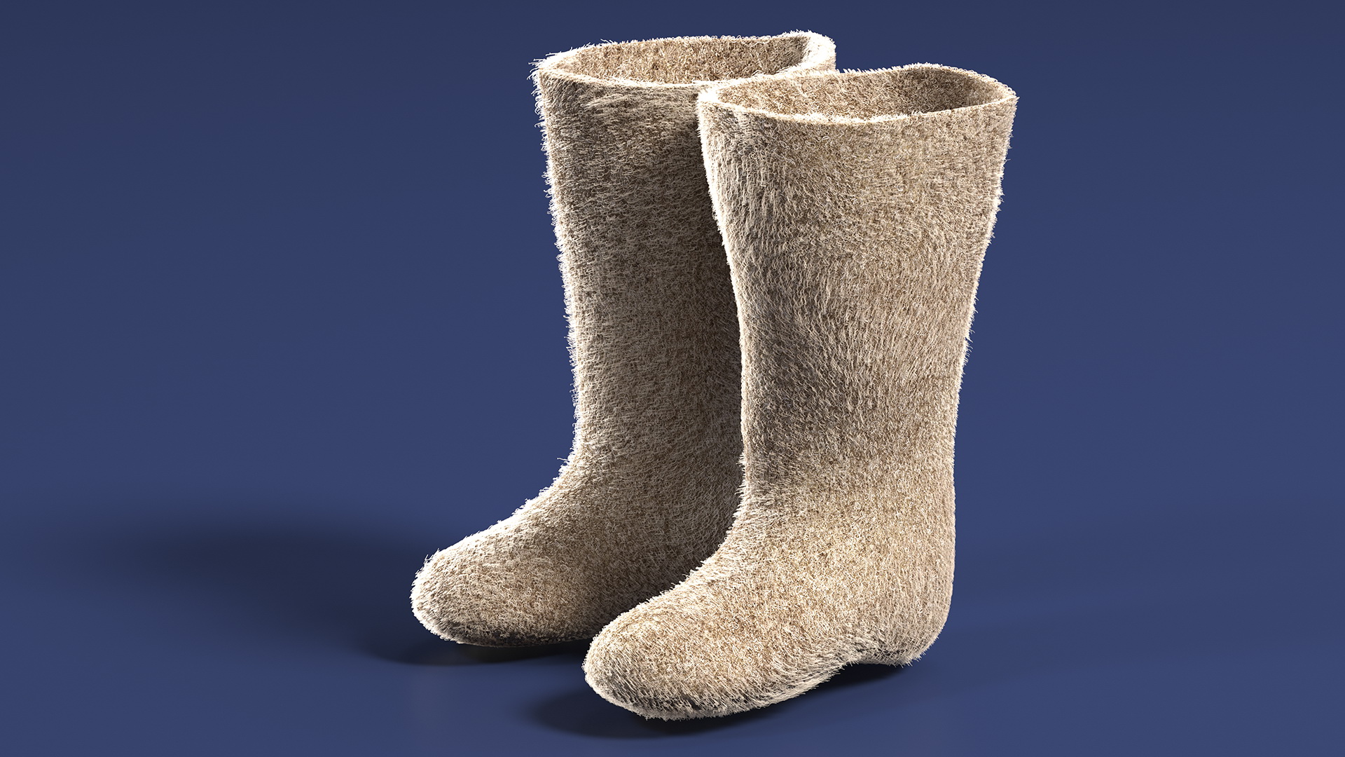 3D Traditional Winter Felt Boots Fur model