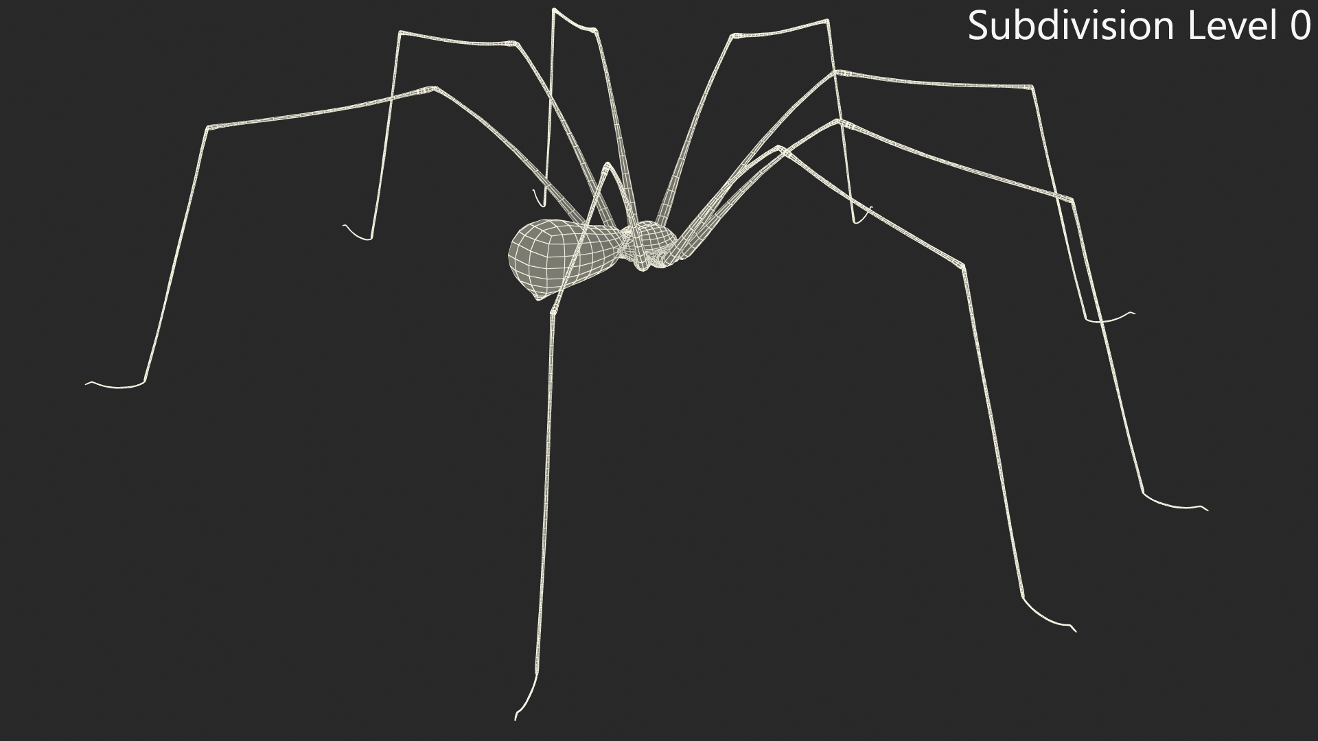 3D Pholcus Phalangioides