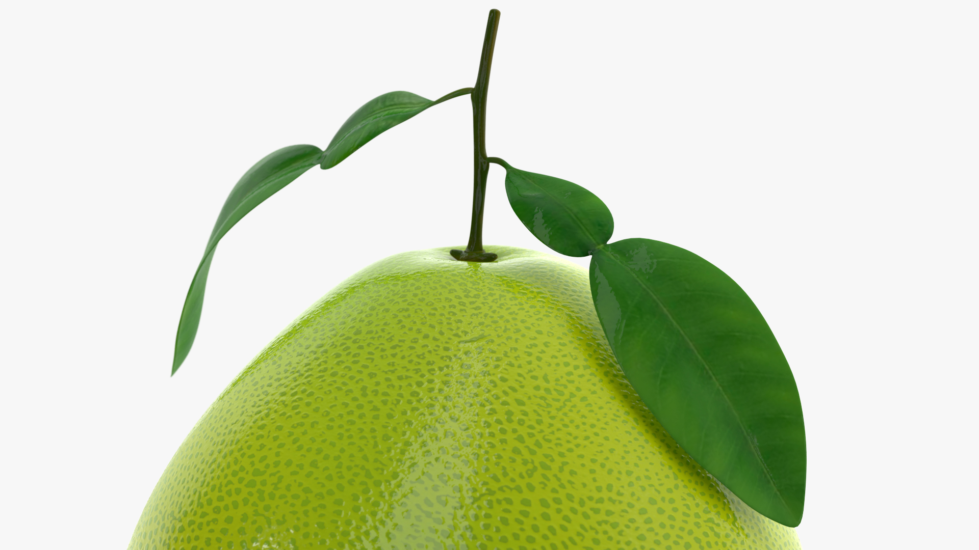 3D Green Pomelo Fruit model