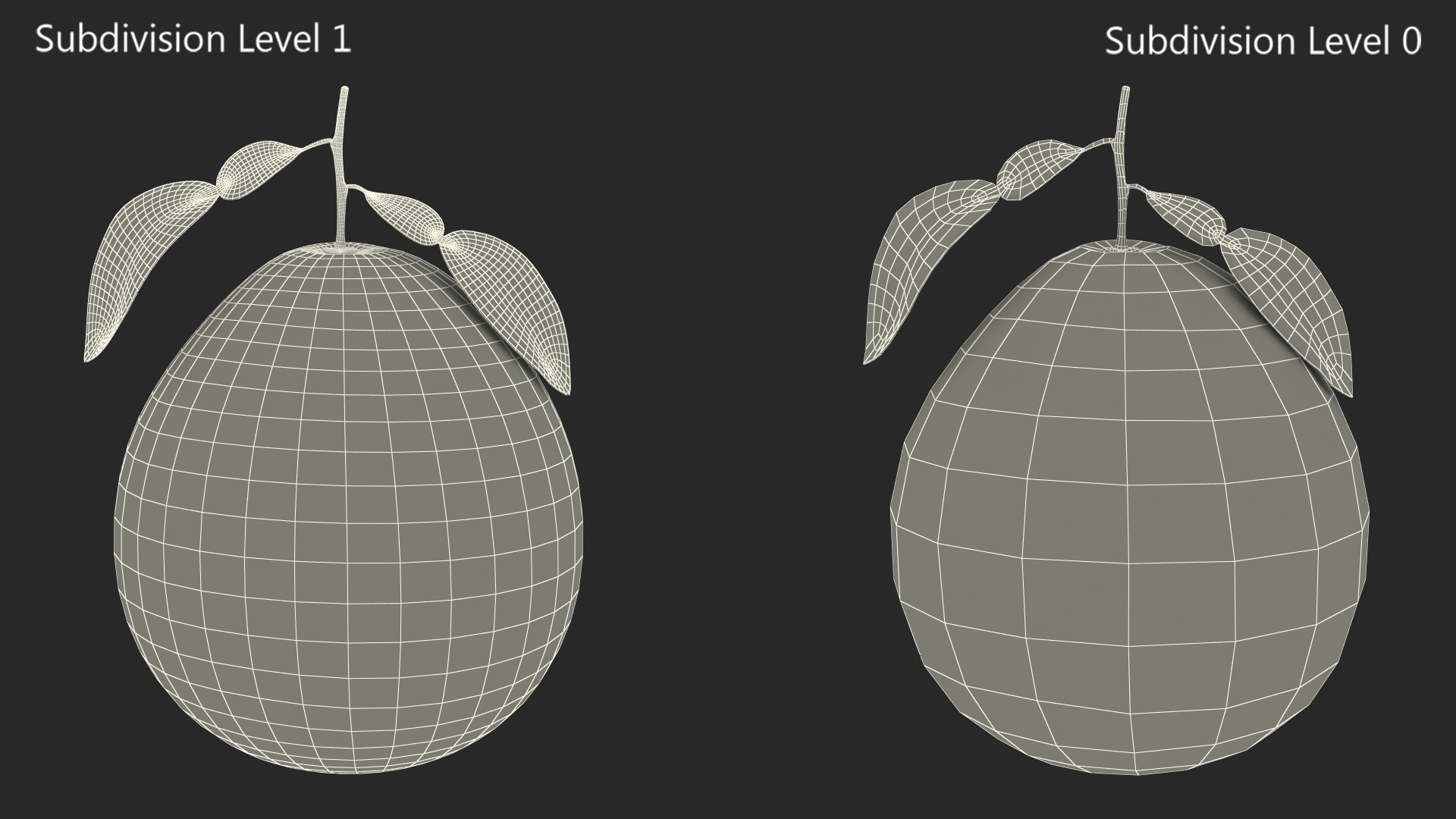 3D Green Pomelo Fruit model