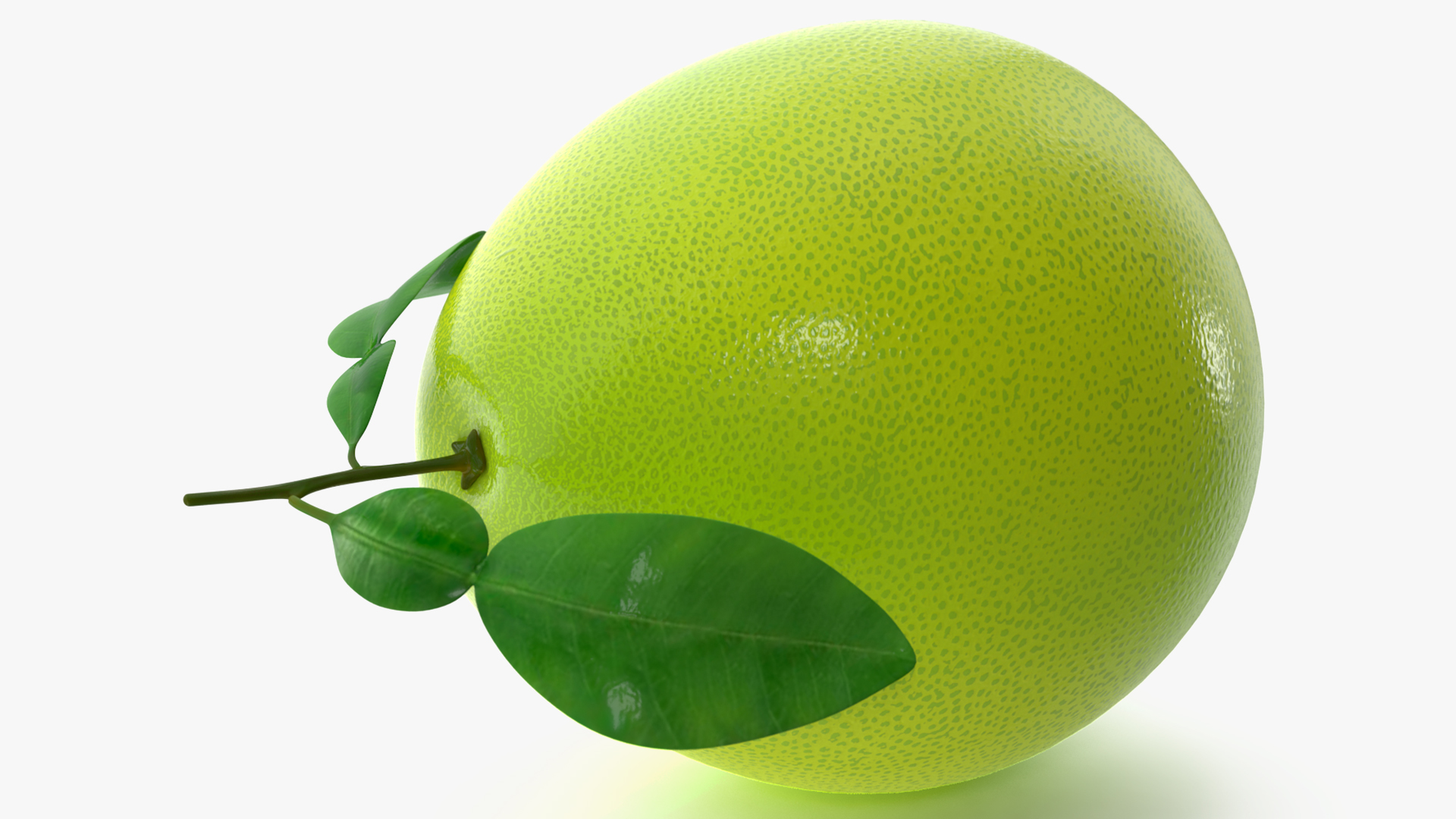 3D Green Pomelo Fruit model