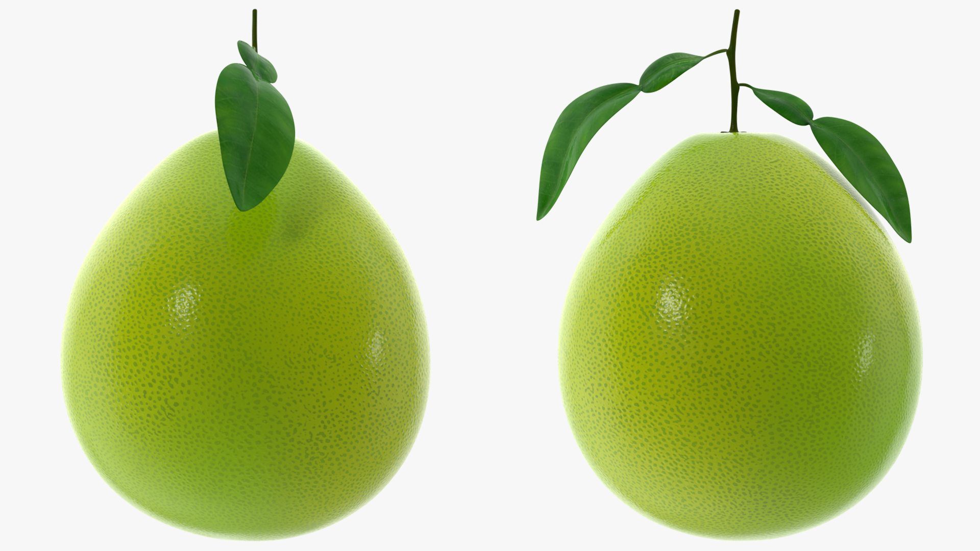 3D Green Pomelo Fruit model