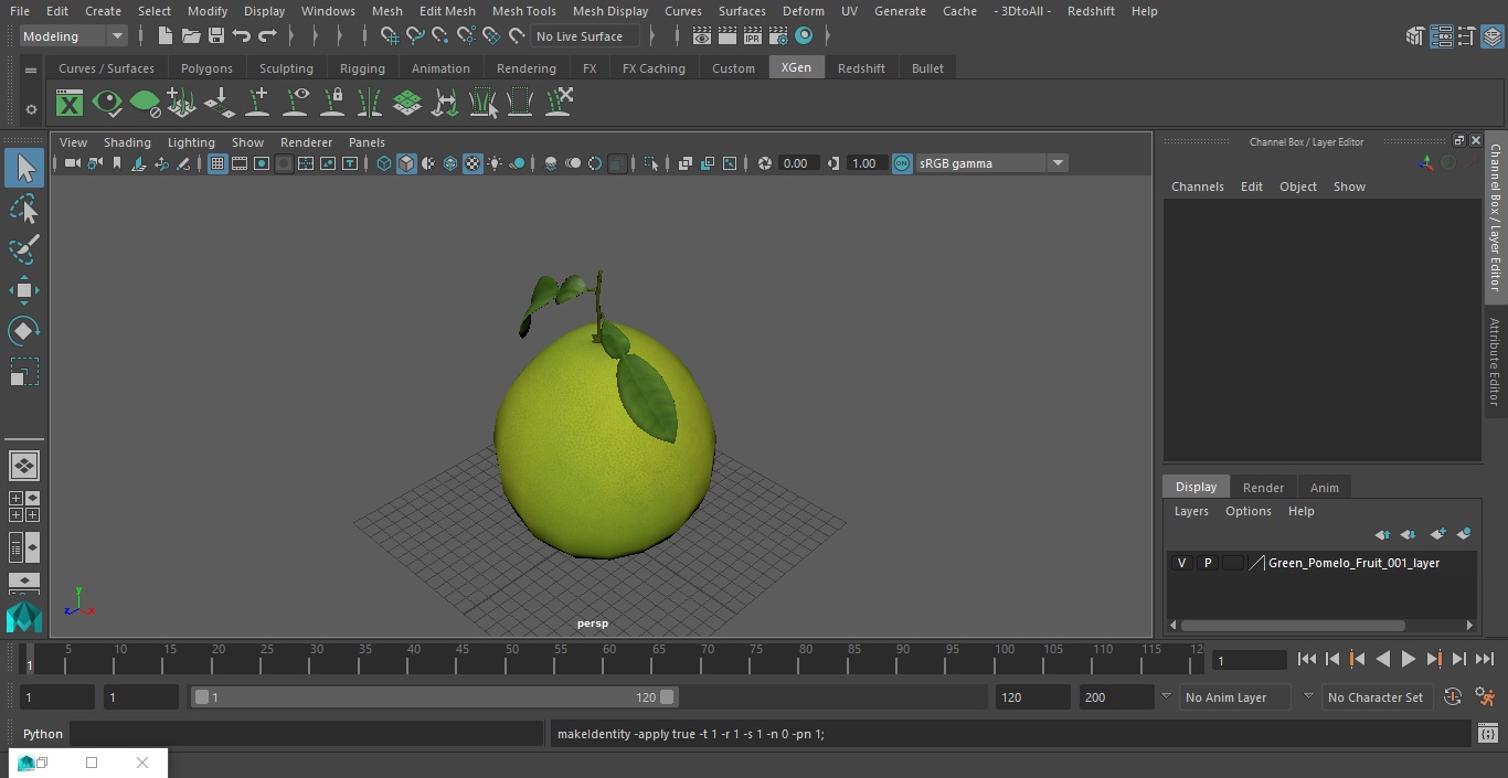 3D Green Pomelo Fruit model