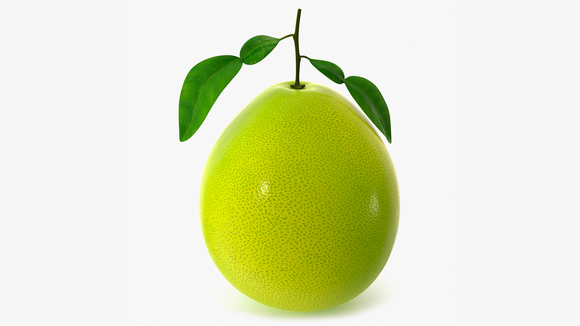 3D Green Pomelo Fruit model