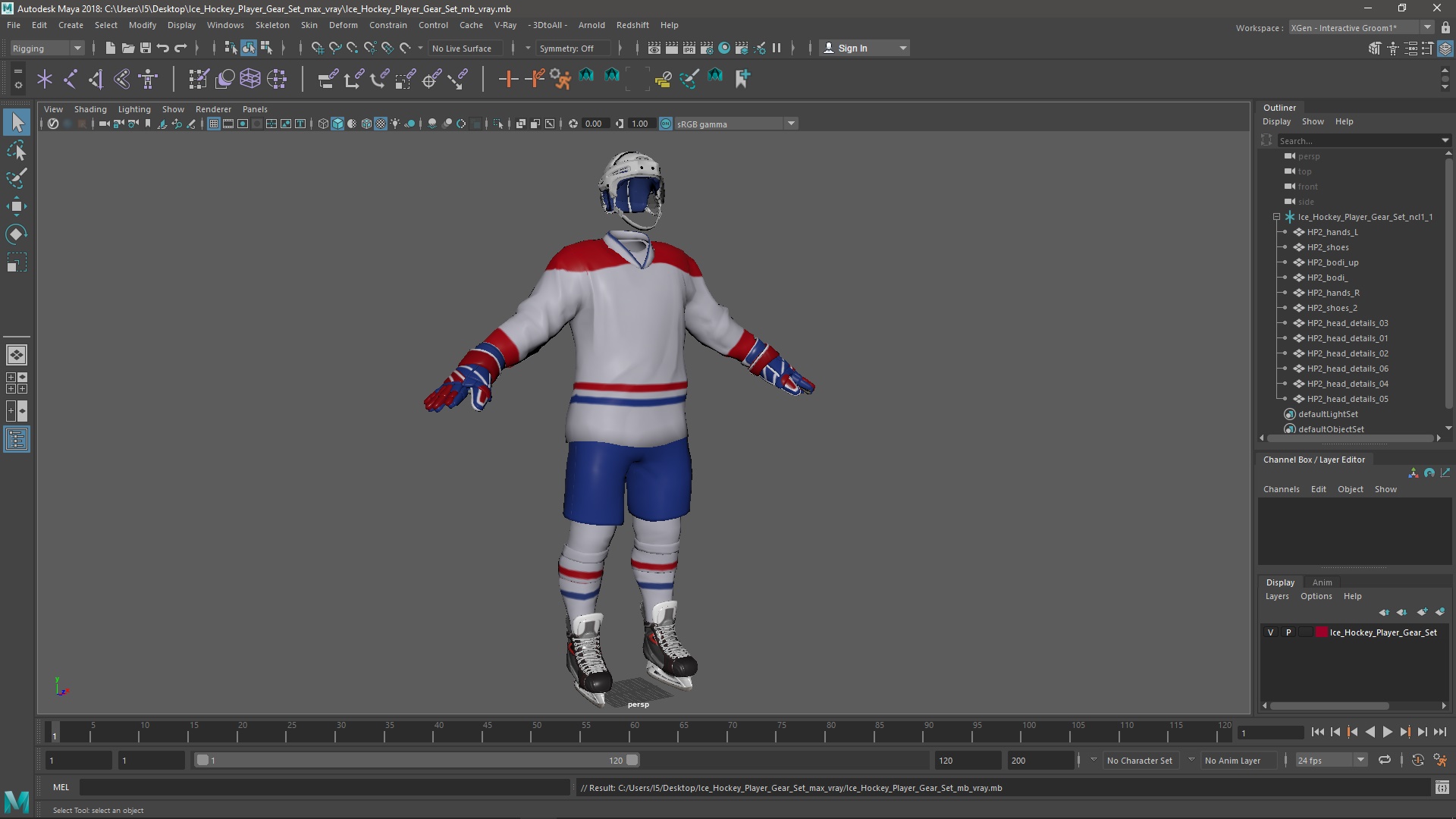 3D Ice Hockey Player Gear Set