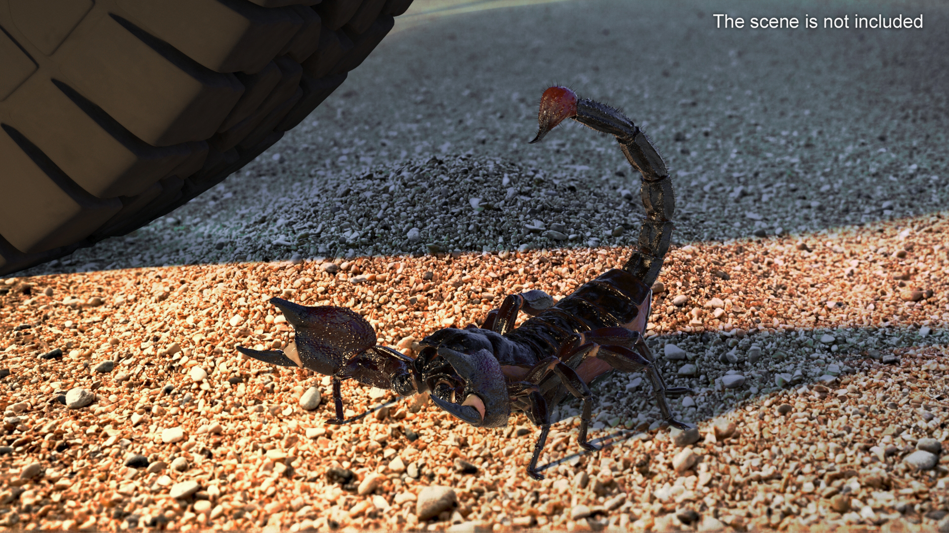 Realistic Scorpion Rigged with Fur 3D model