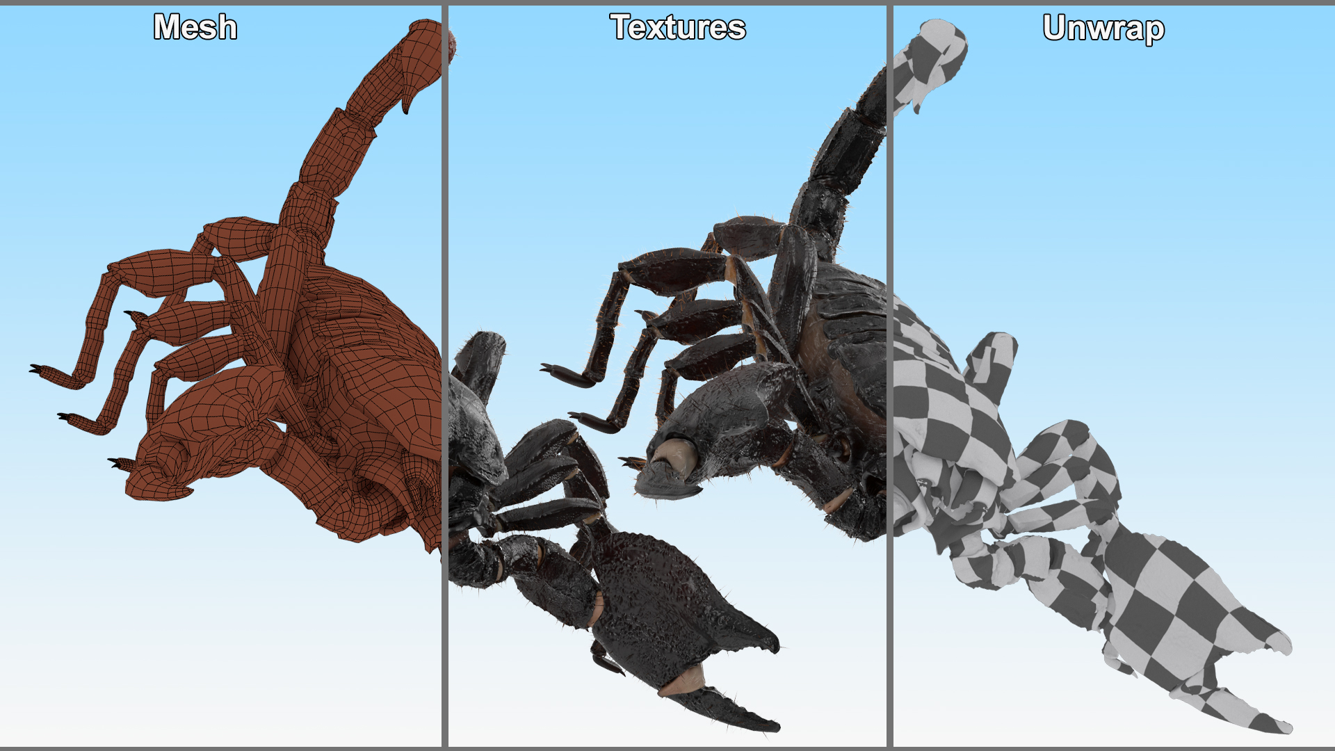 Realistic Scorpion Rigged with Fur 3D model