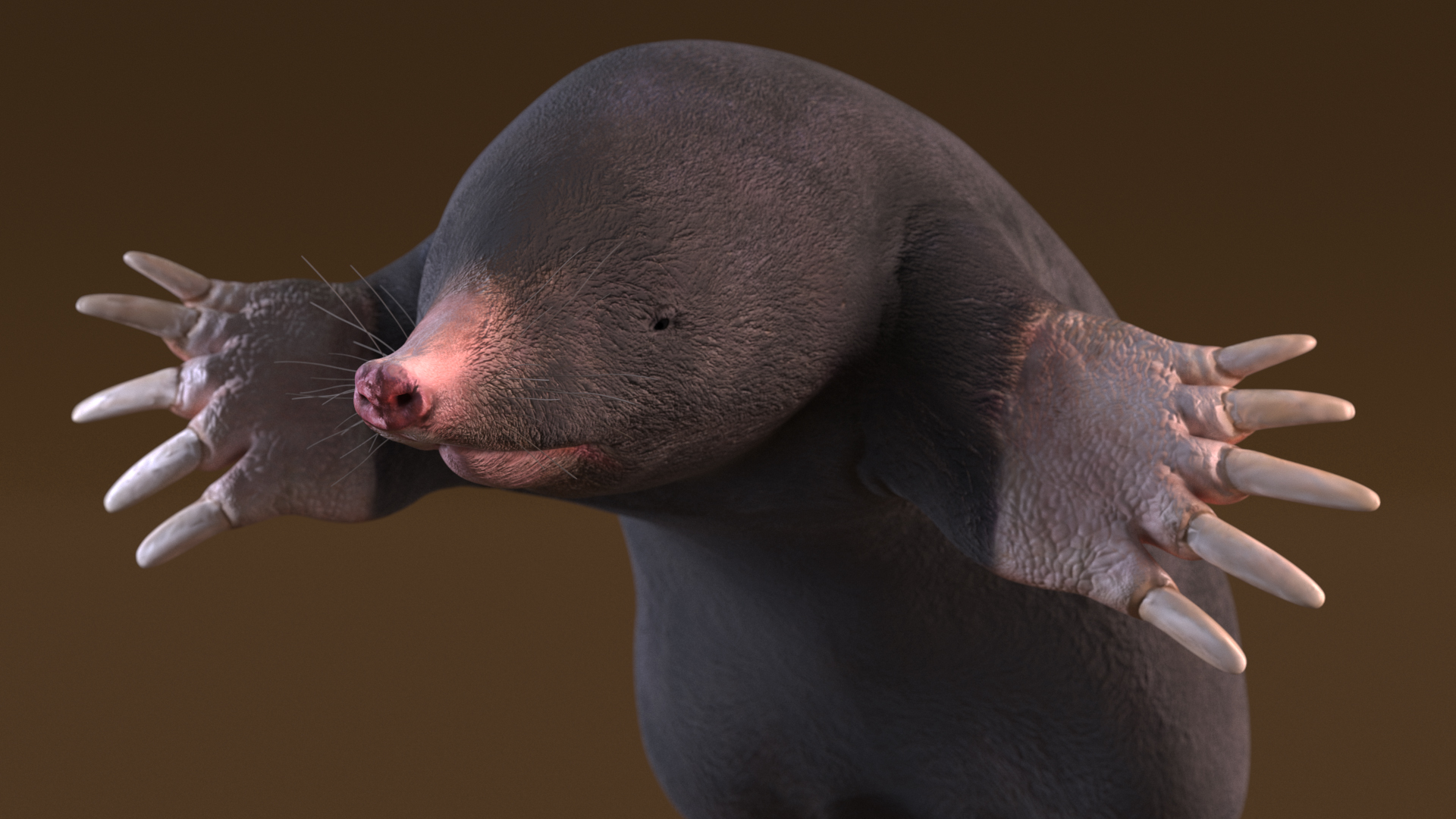 3D Mole Animal