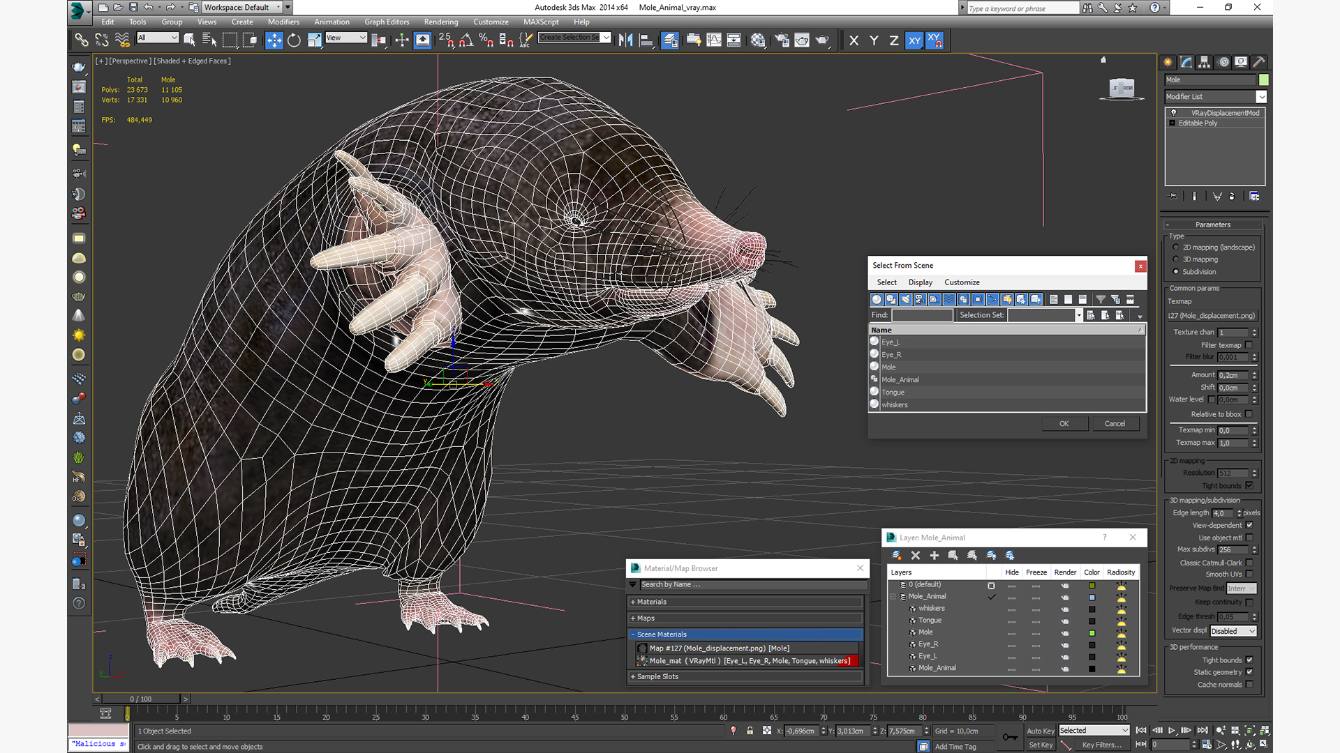 3D Mole Animal