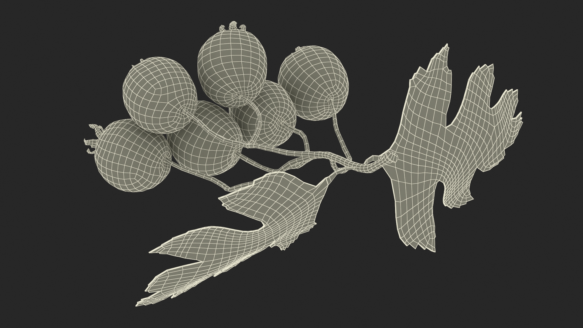 3D model Hawthorn Berry Branch Fur