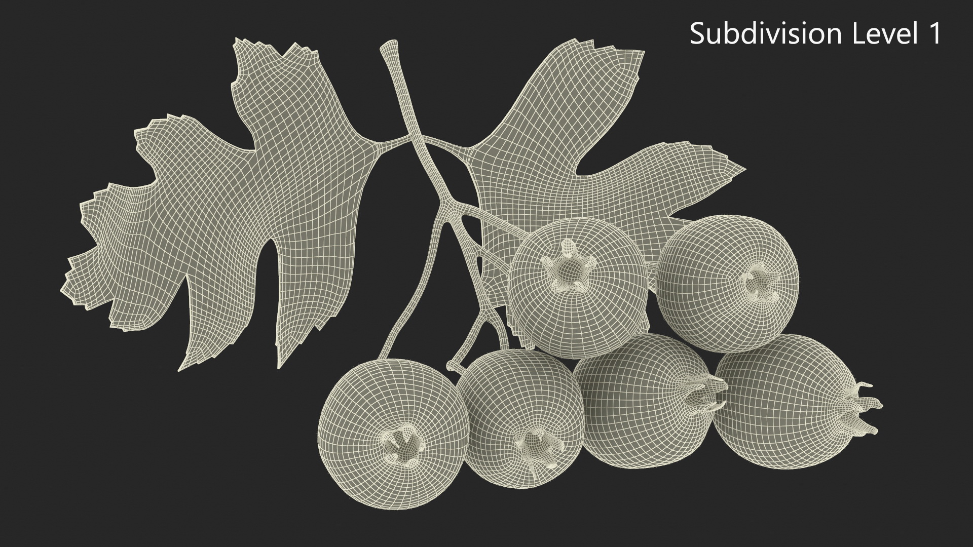 3D model Hawthorn Berry Branch Fur