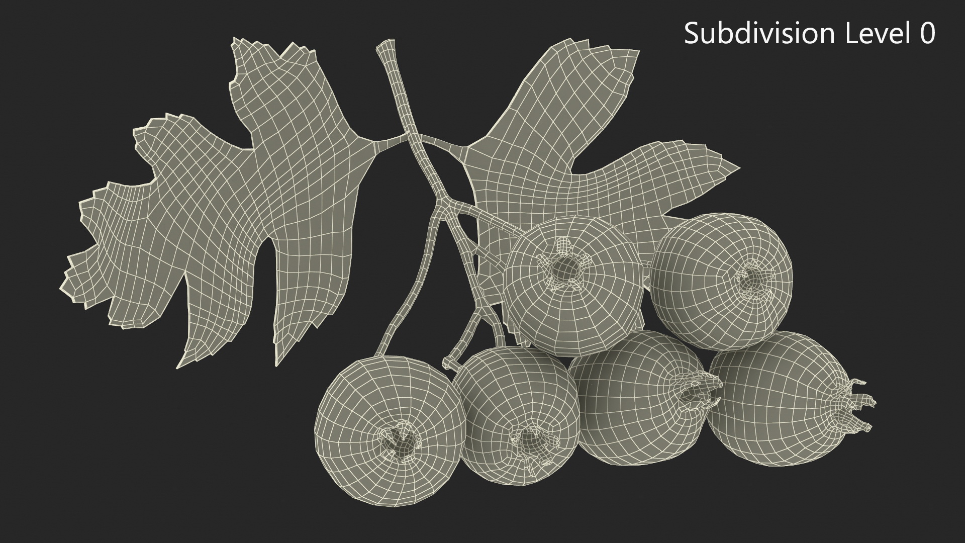 3D model Hawthorn Berry Branch Fur