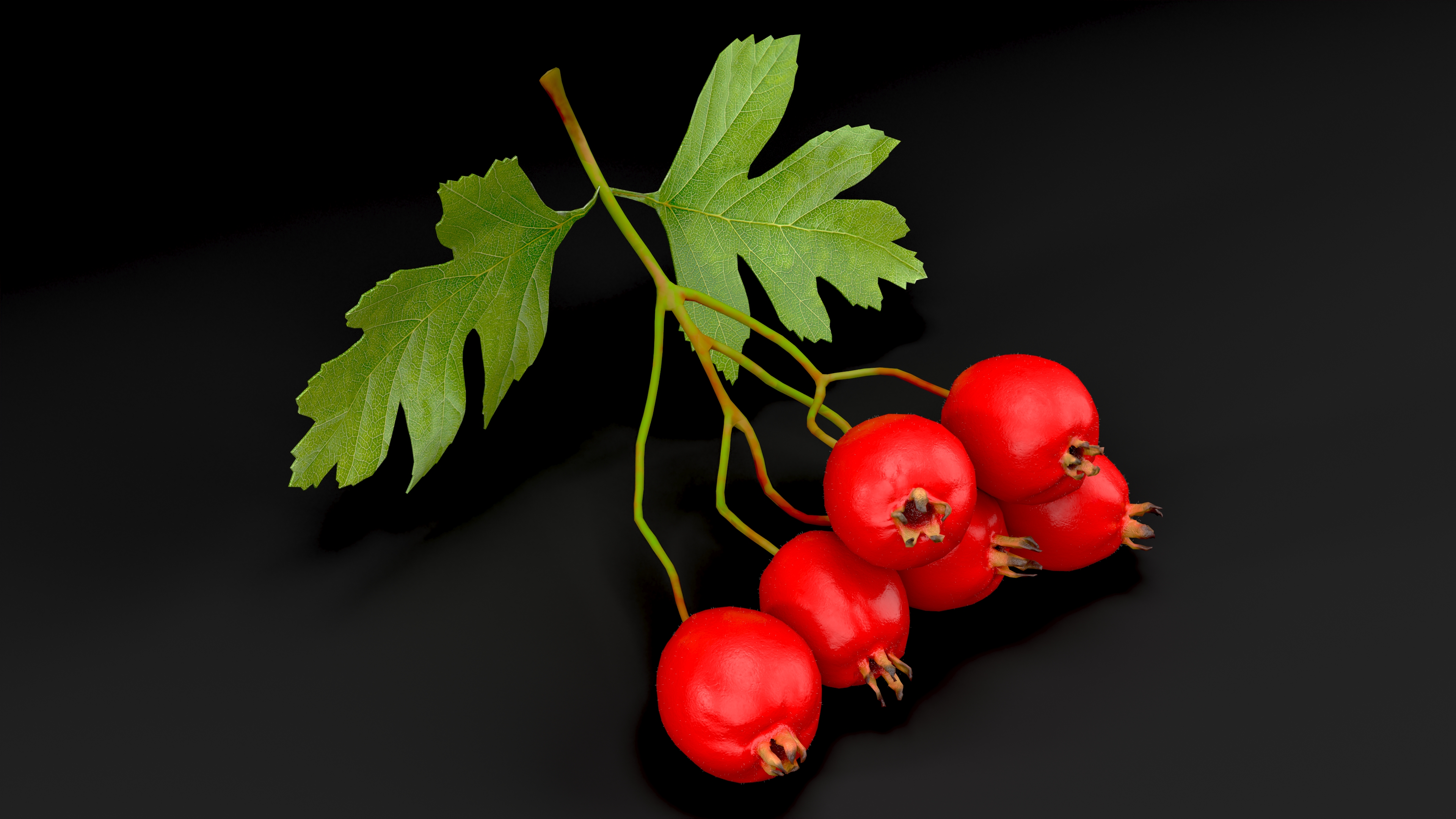 3D model Hawthorn Berry Branch Fur