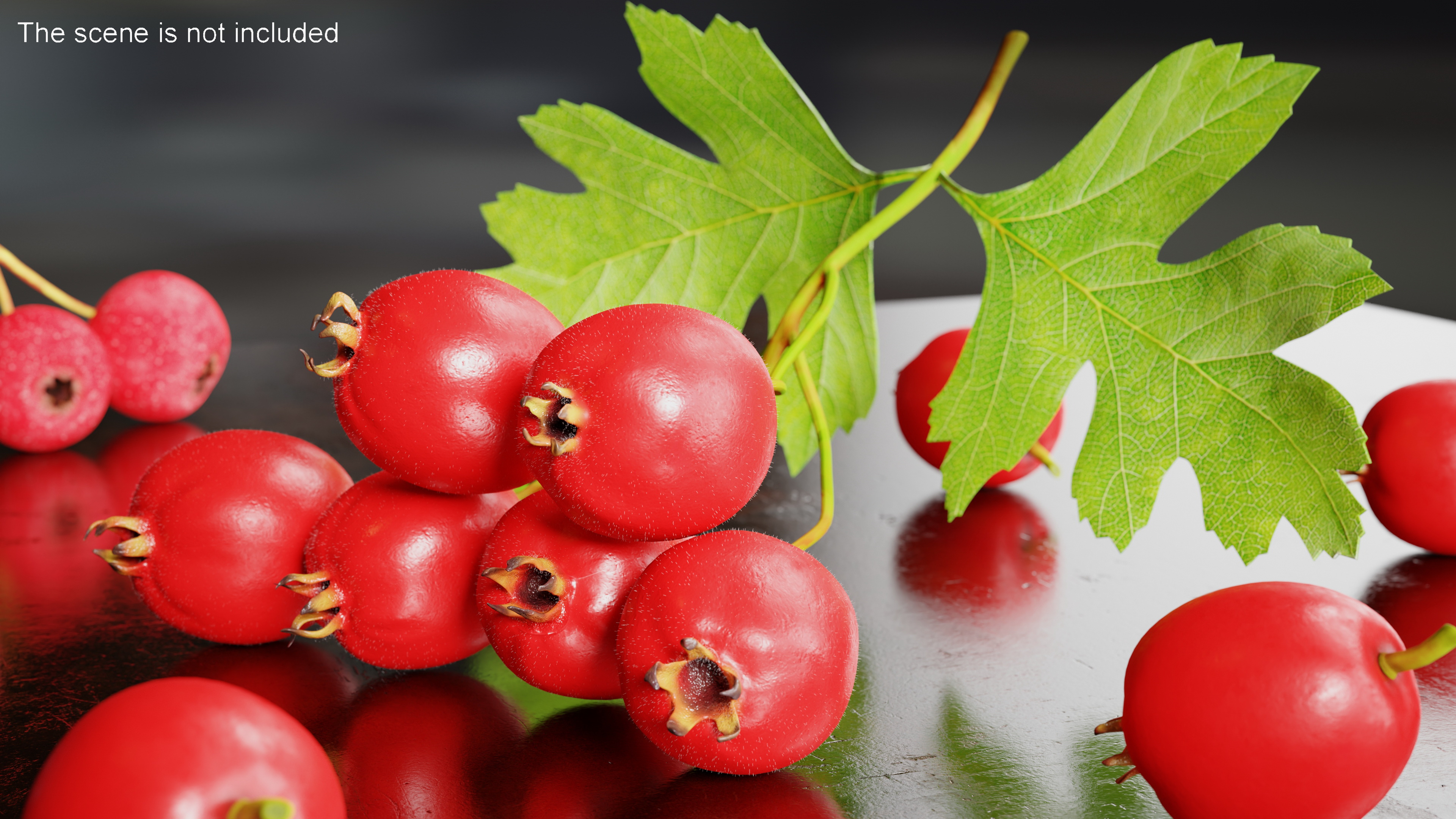 3D model Hawthorn Berry Branch Fur