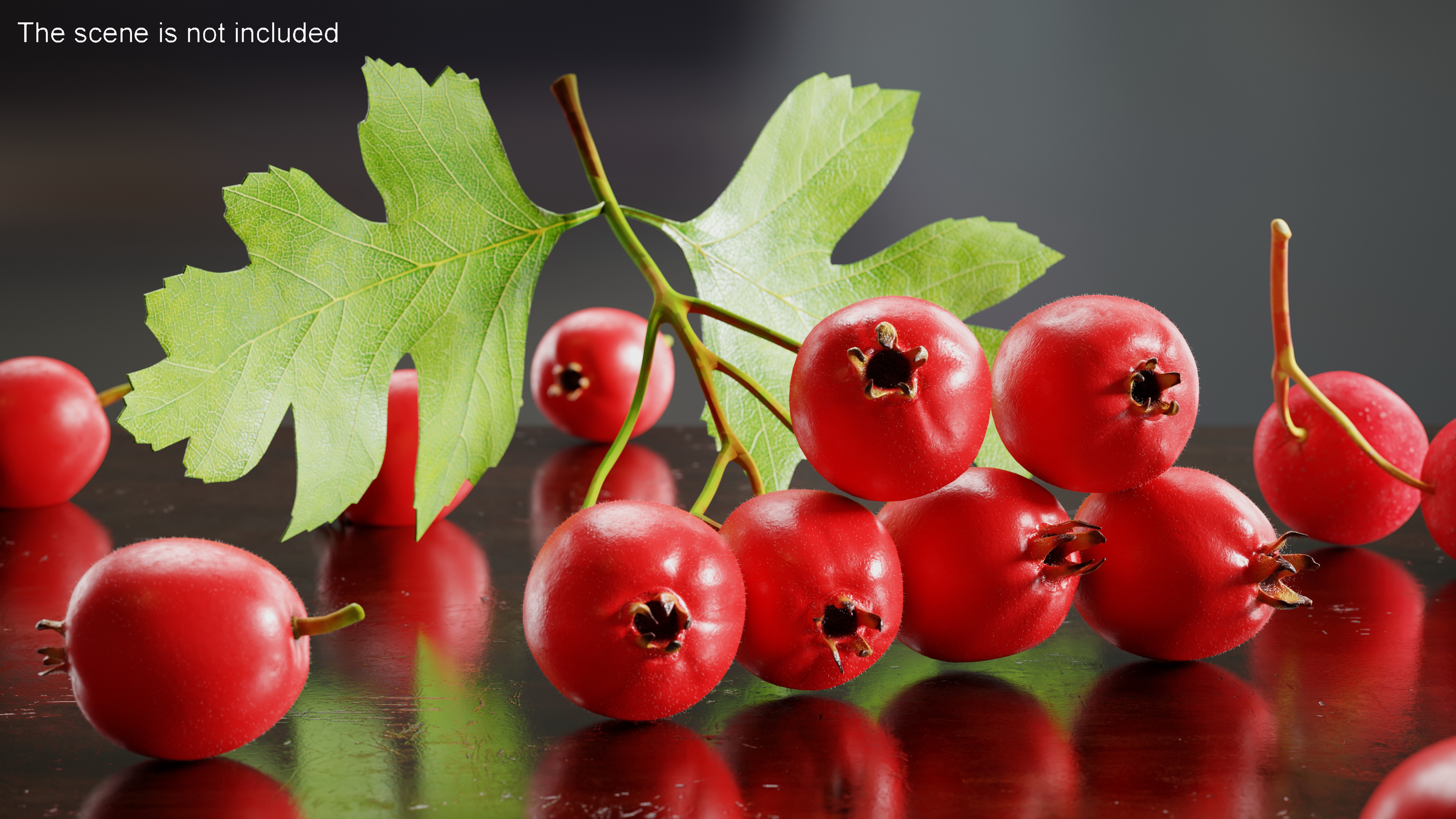 3D model Hawthorn Berry Branch Fur