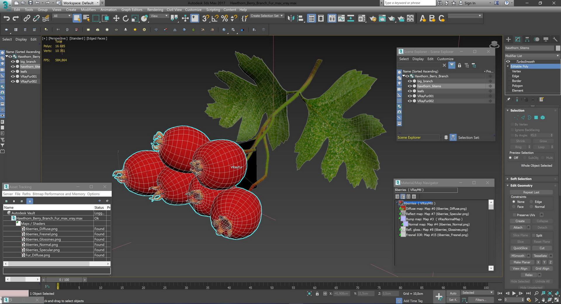 3D model Hawthorn Berry Branch Fur