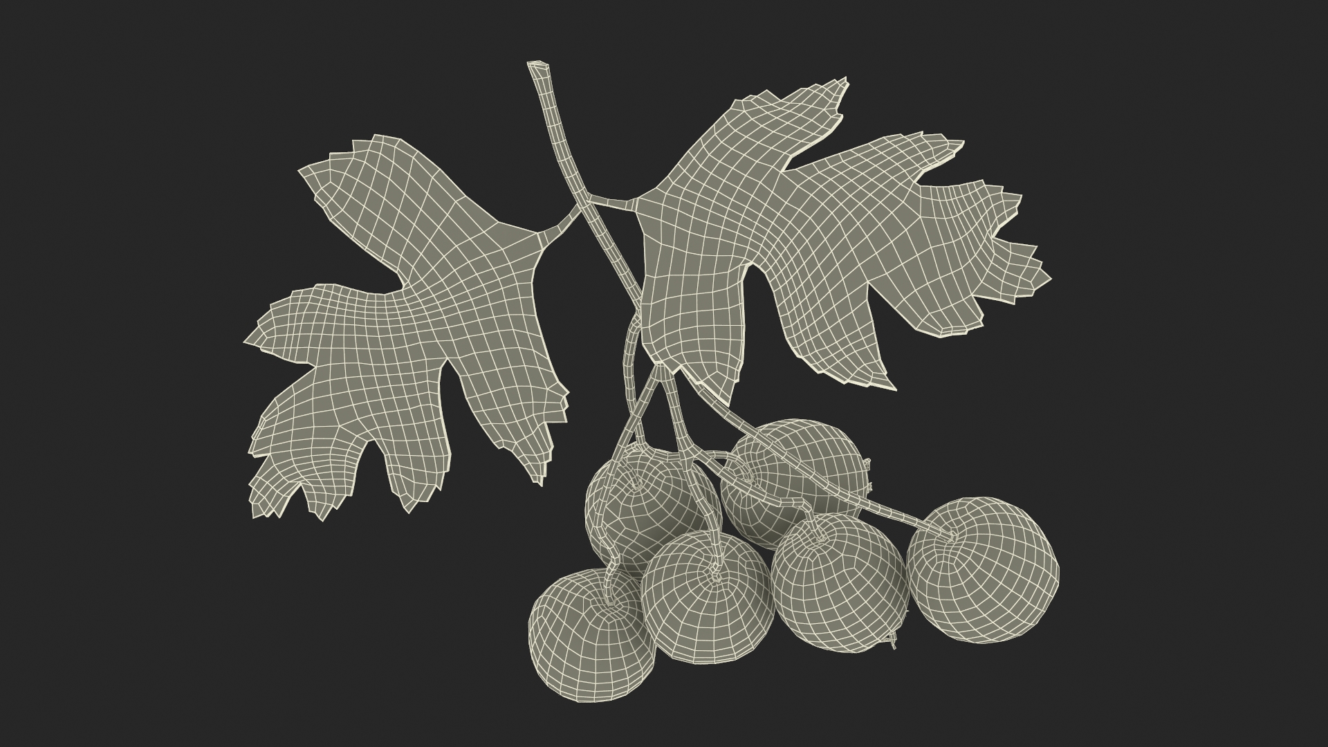 3D model Hawthorn Berry Branch Fur