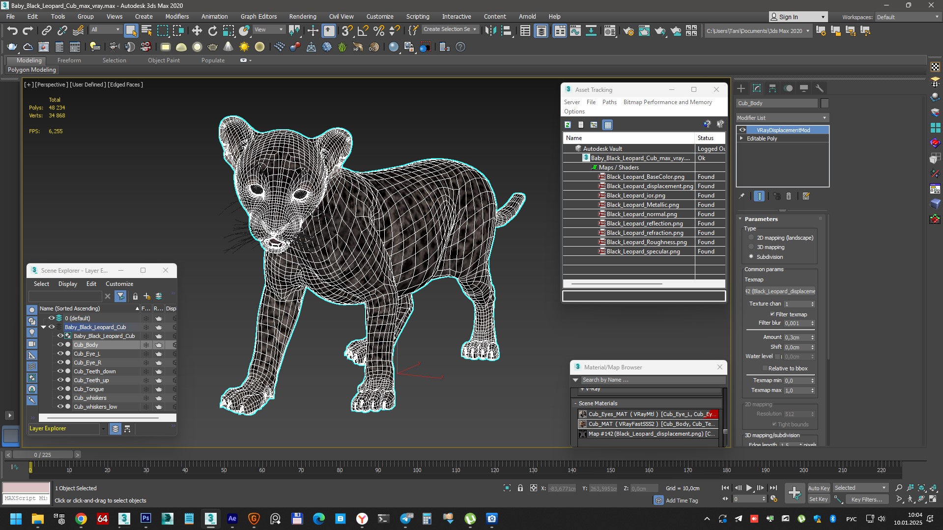 Baby Black Leopard Cub 3D