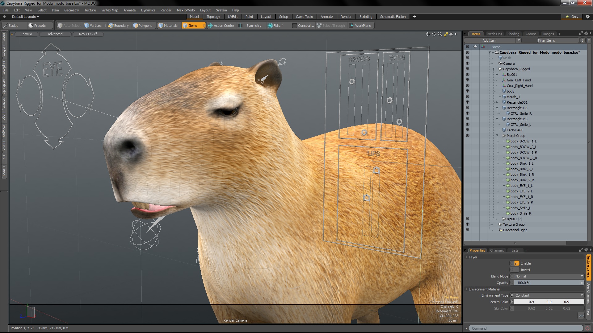 Capybara Rigged for Modo 3D model