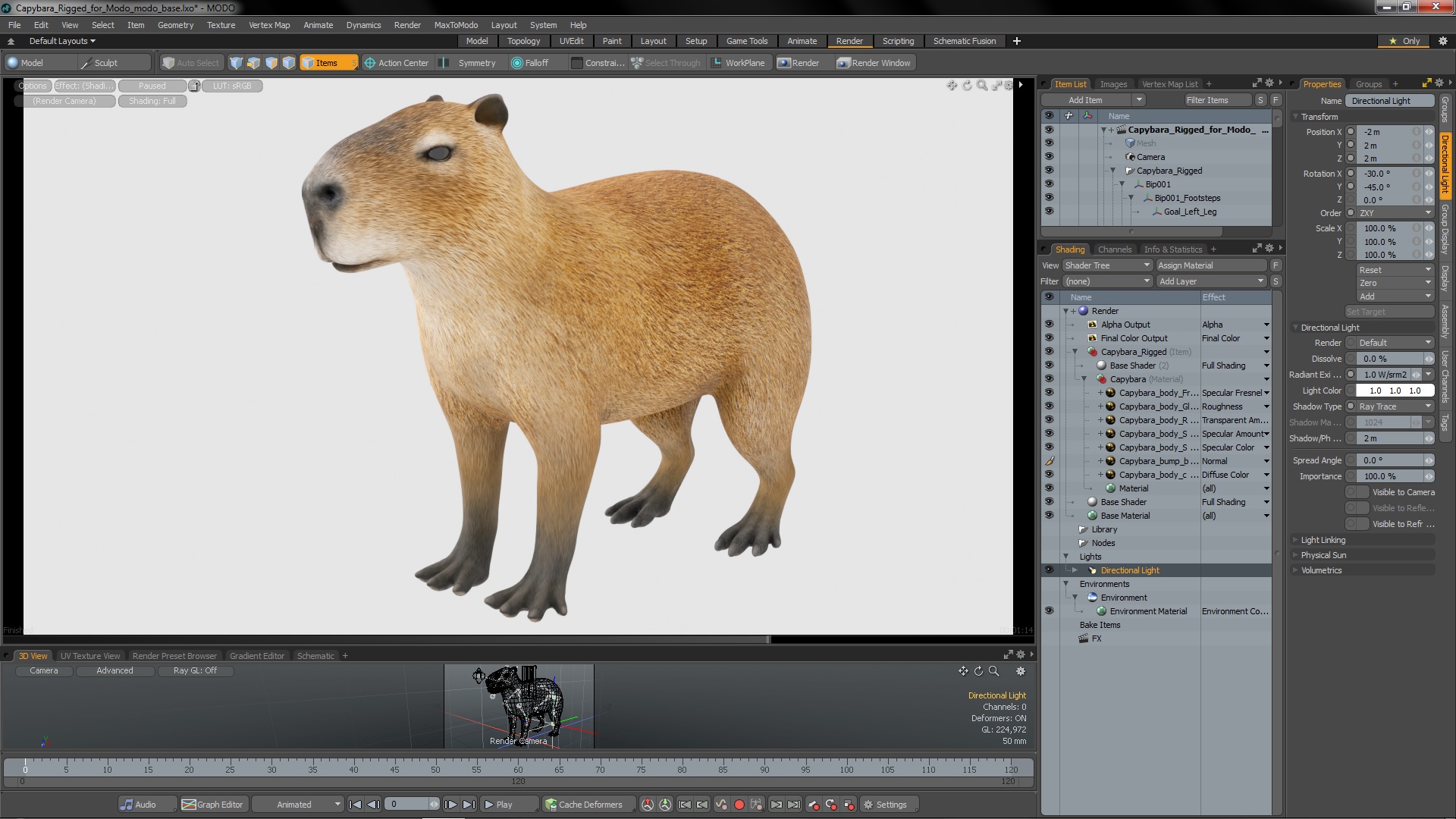 Capybara Rigged for Modo 3D model