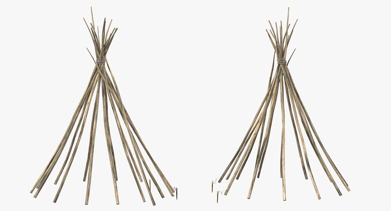 3D model Tipi Poles