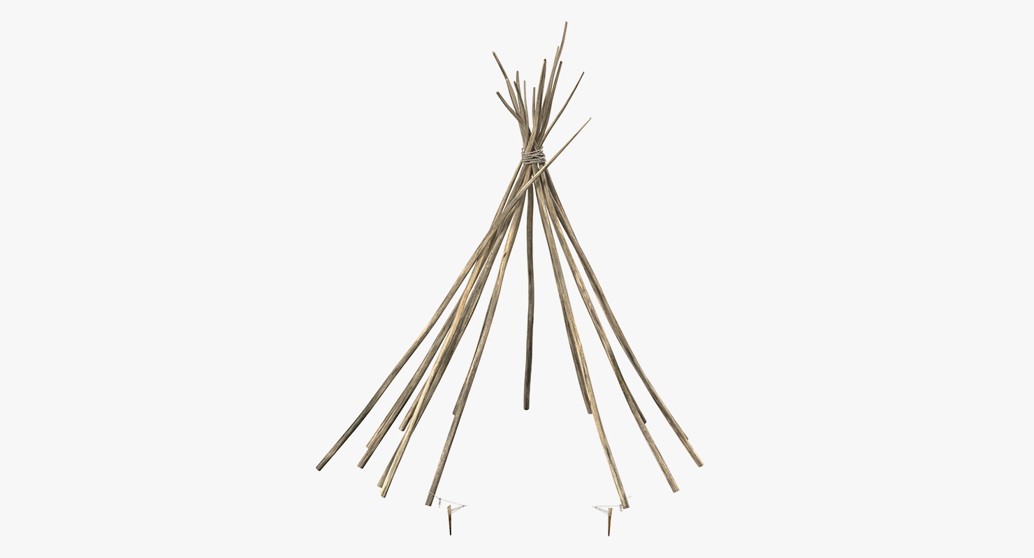 3D model Tipi Poles