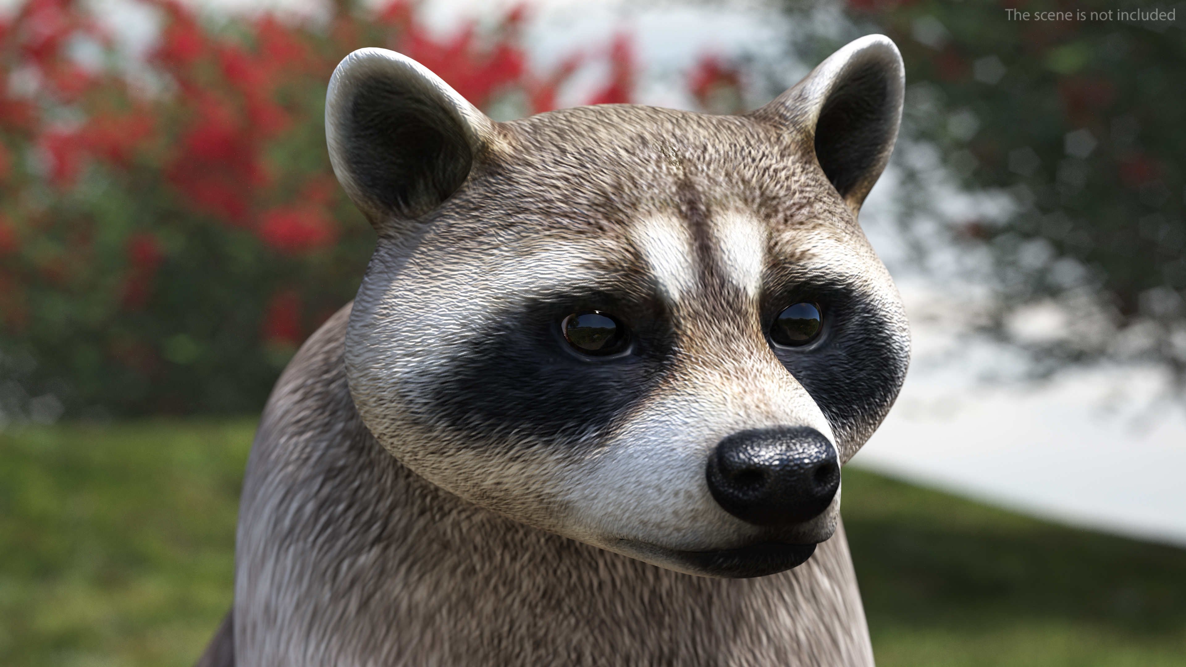 Raccoon Rigged 3D model