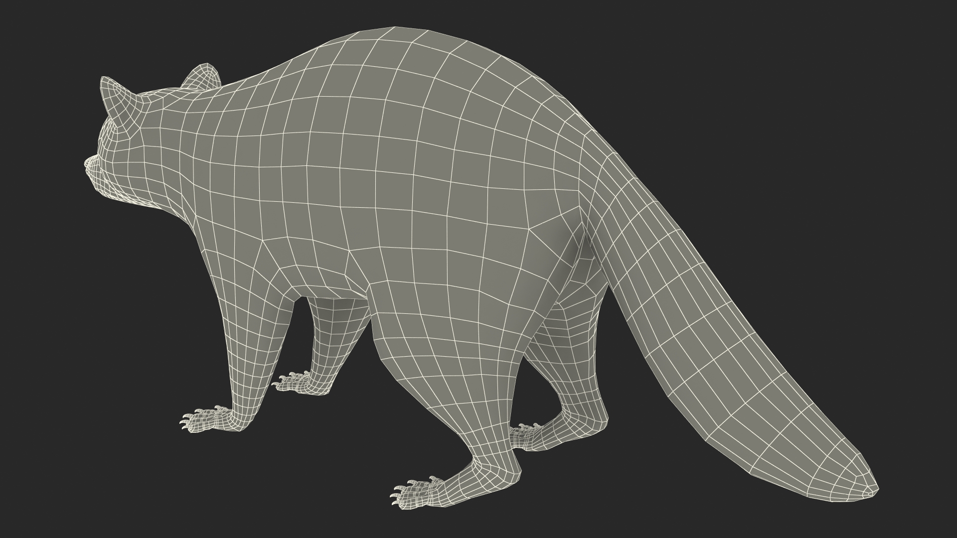 Raccoon Rigged 3D model