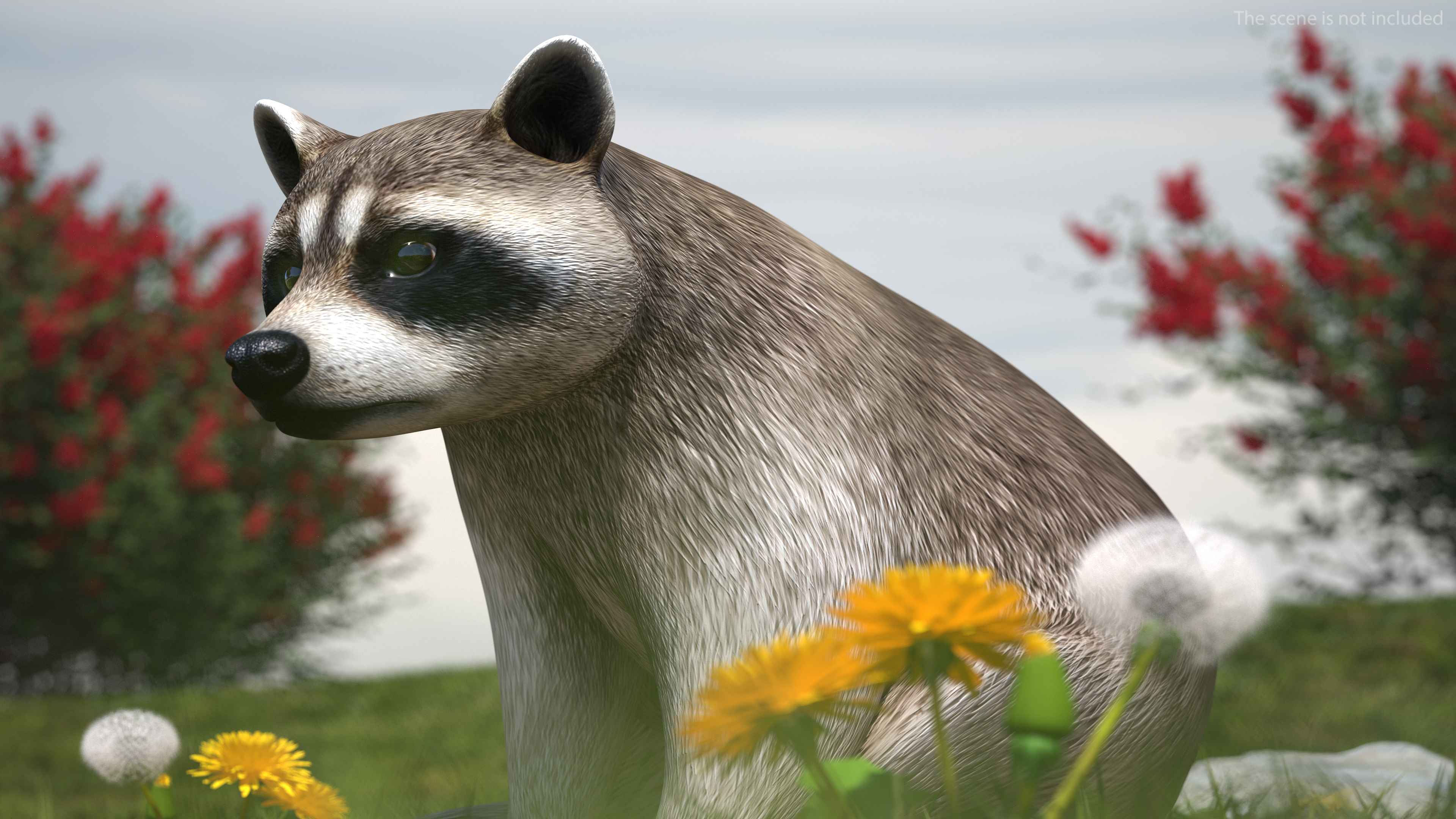 Raccoon Rigged 3D model