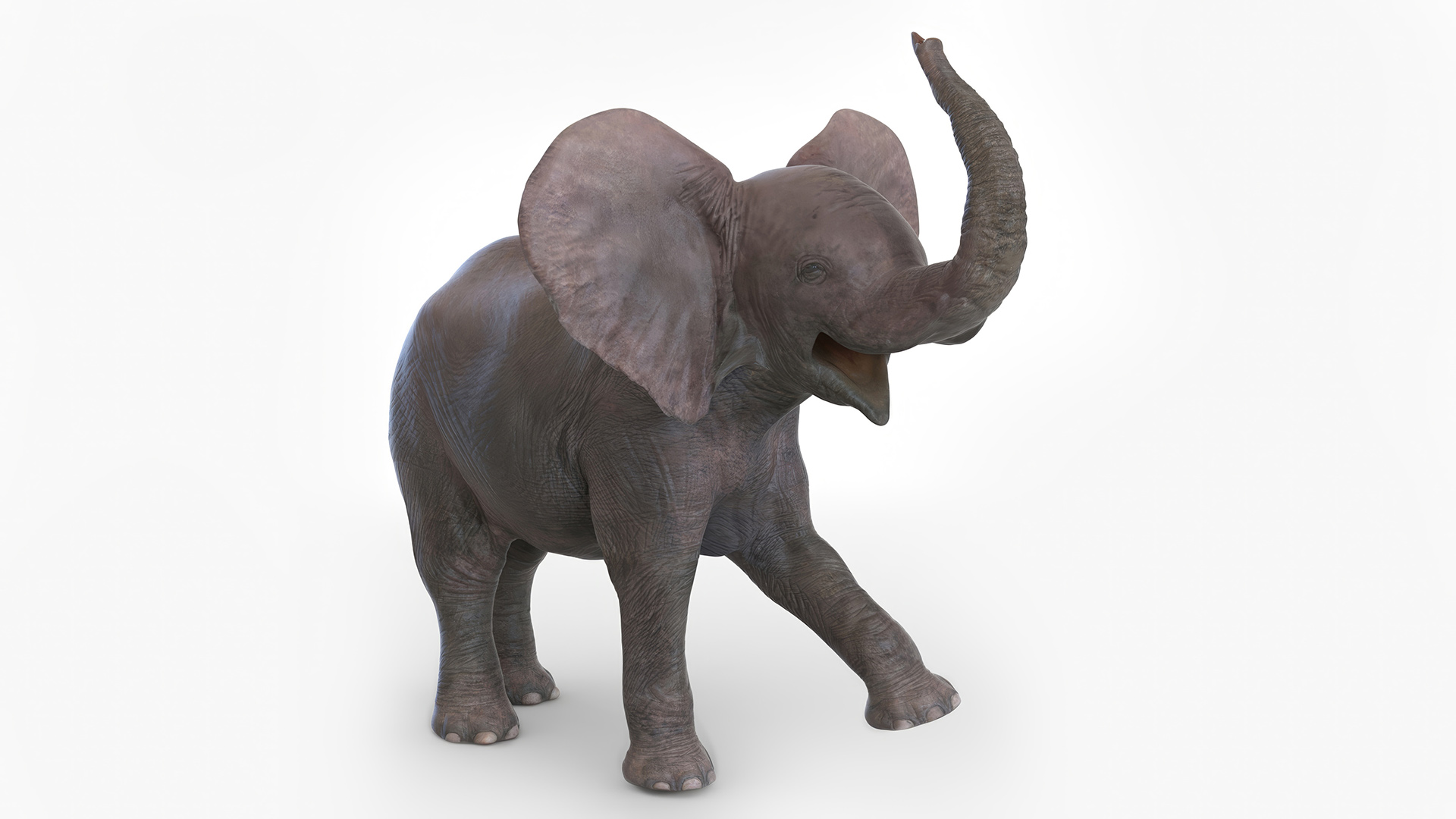 Baby Elephant Rigged for Maya 3D model