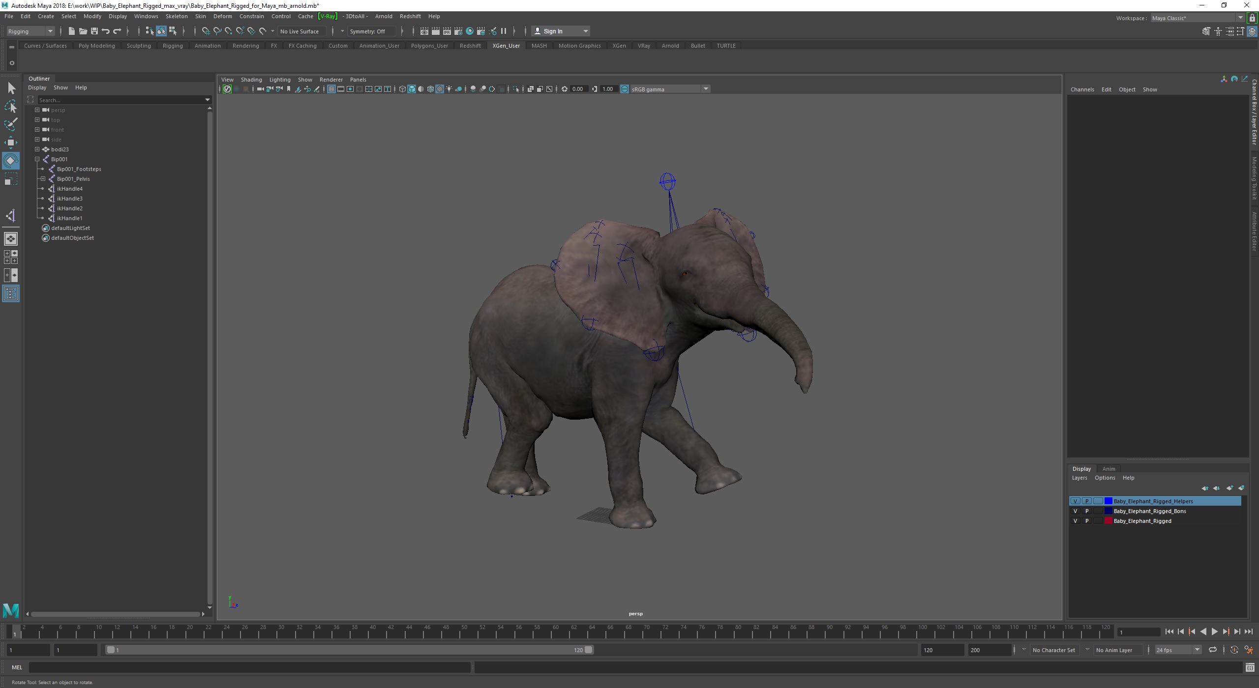 Baby Elephant Rigged for Maya 3D model