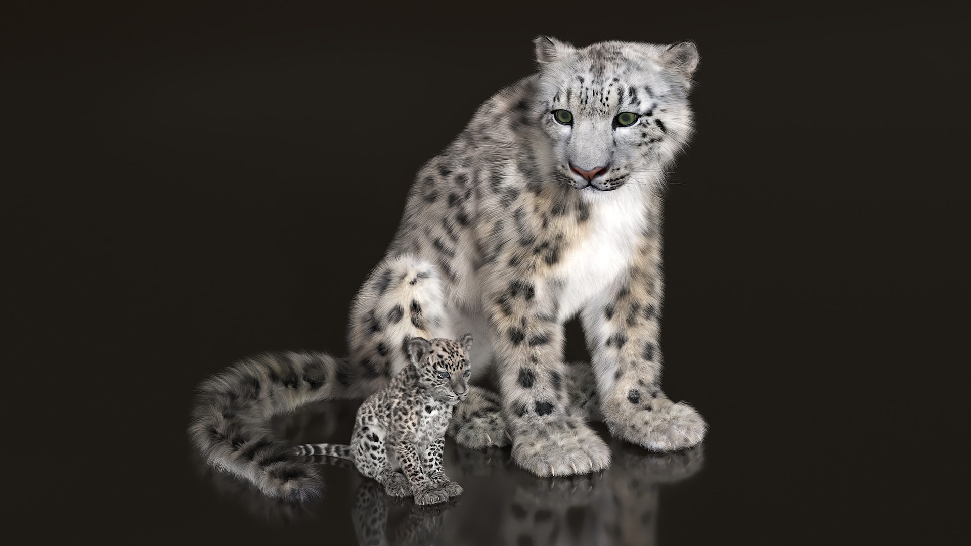 Snow Leopard Mother and Calf Fur 3D