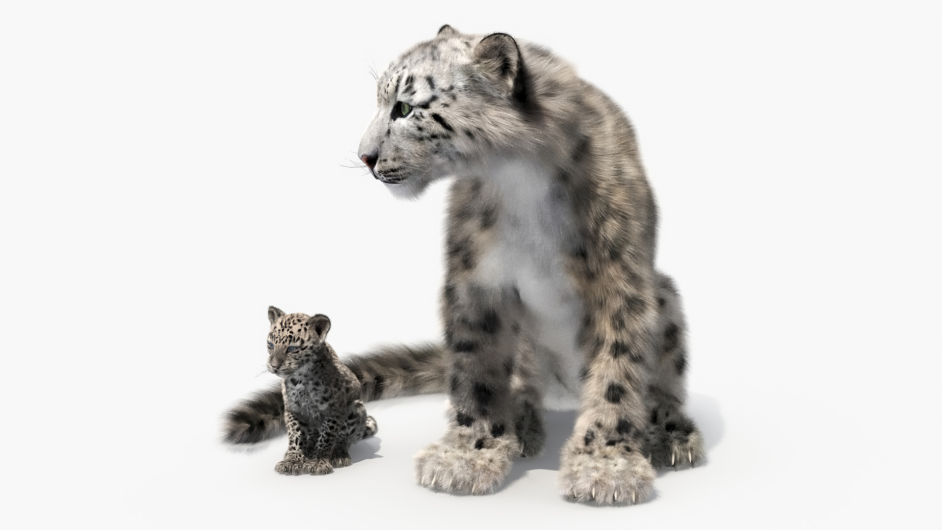 Snow Leopard Mother and Calf Fur 3D