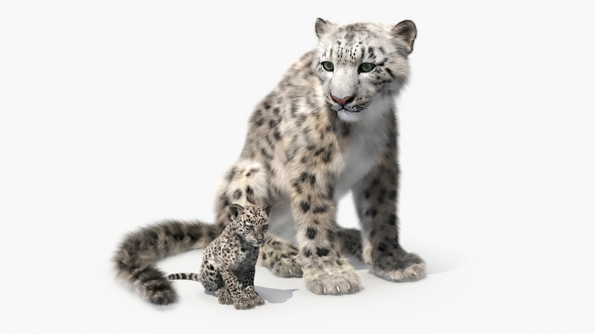 Snow Leopard Mother and Calf Fur 3D