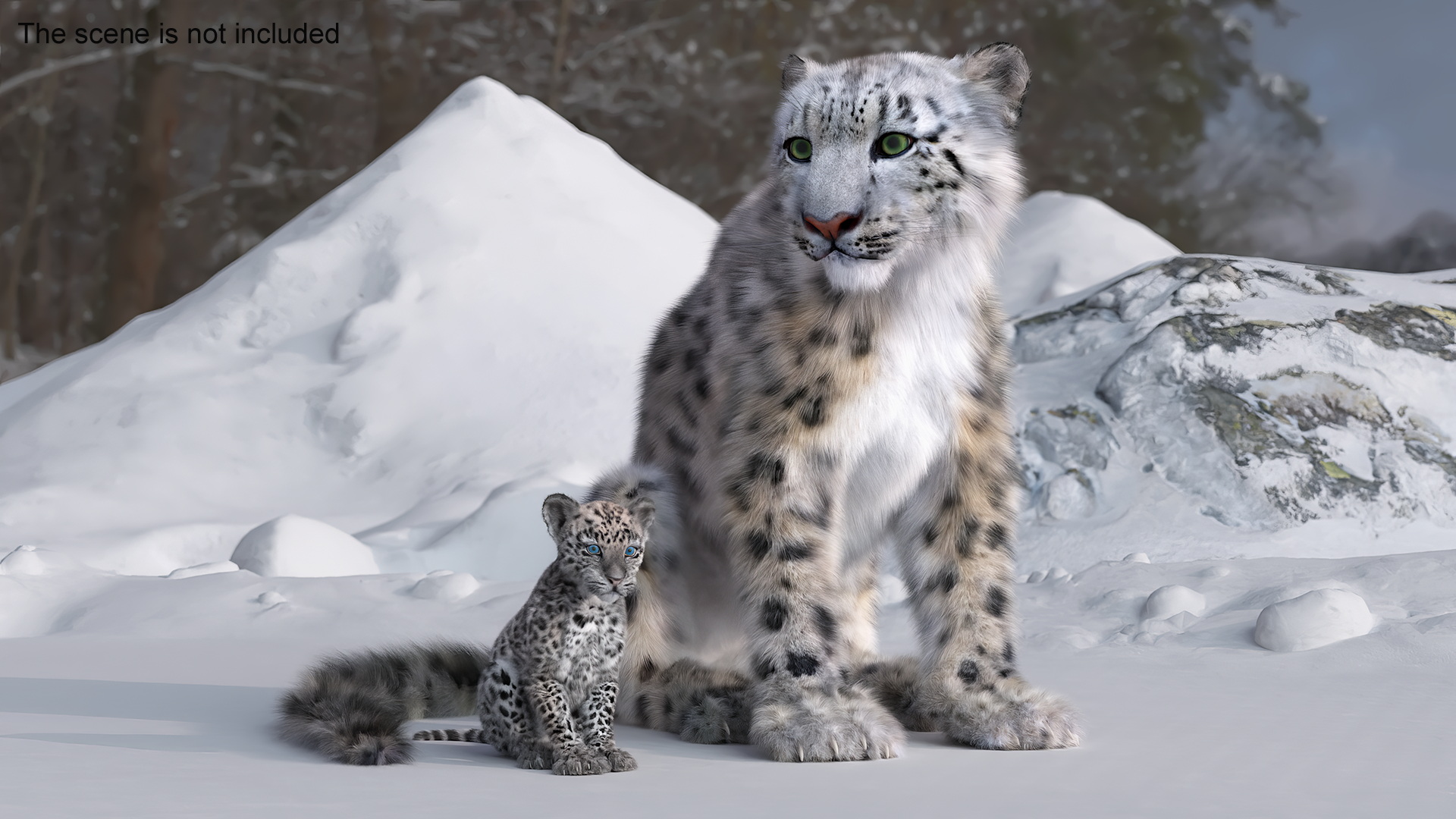 Snow Leopard Mother and Calf Fur 3D