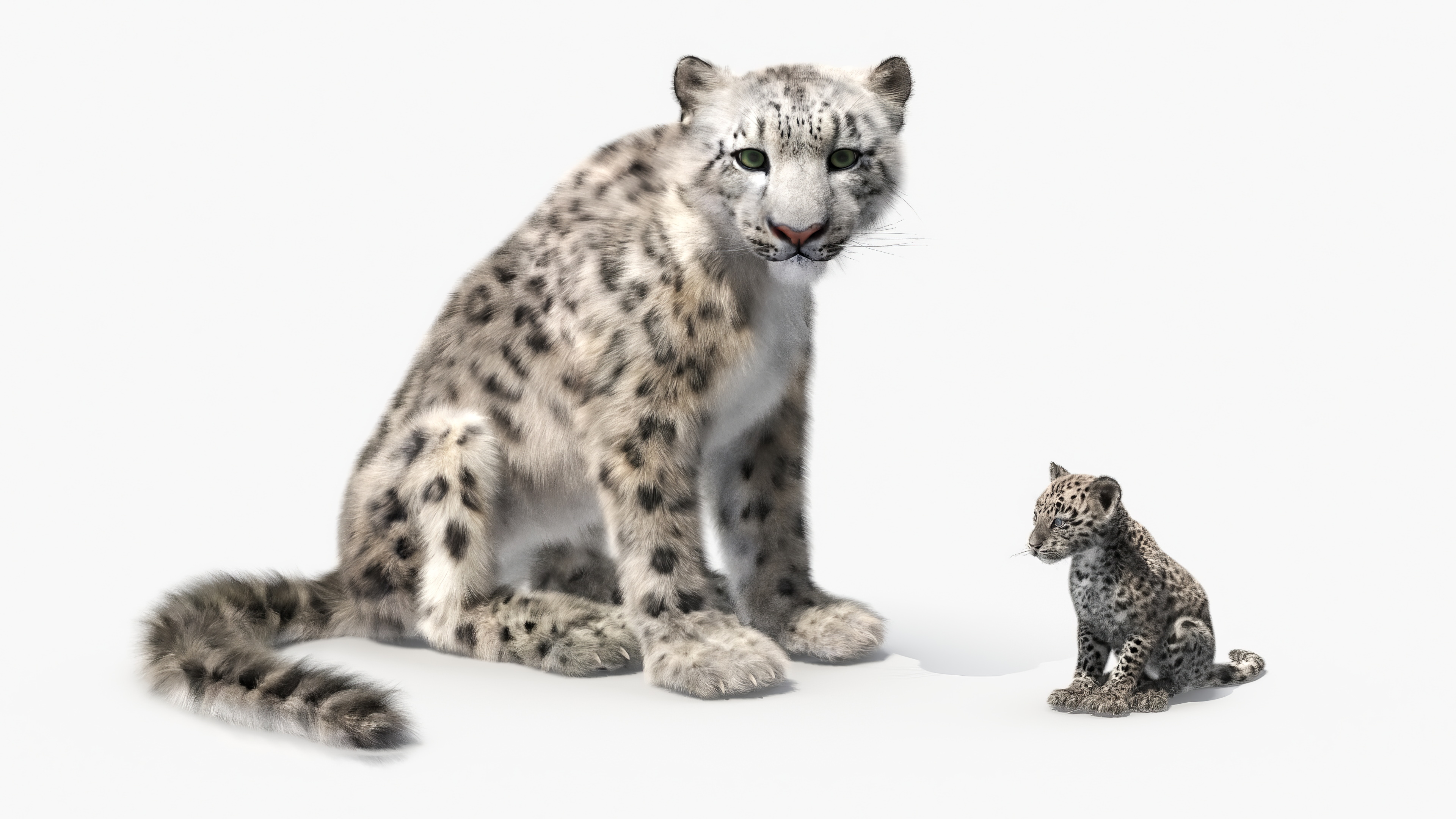 Snow Leopard Mother and Calf Fur 3D