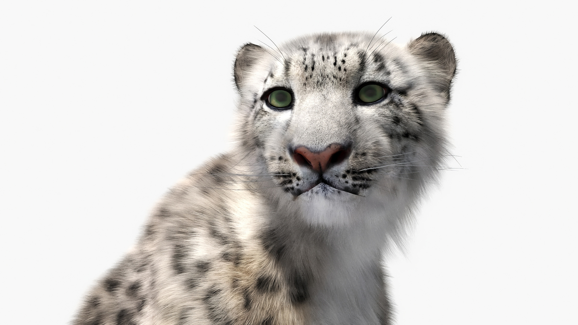 Snow Leopard Mother and Calf Fur 3D