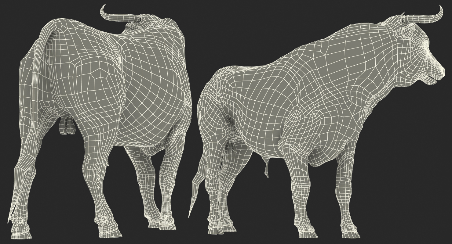 3D Bull Standing Pose model