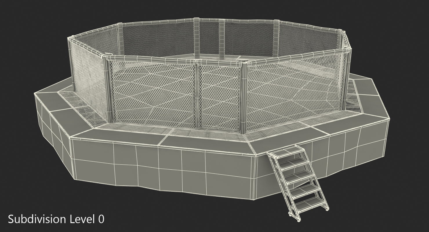 Fighting Octagon Arena 3D